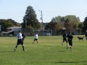 OTFL Gallery Image